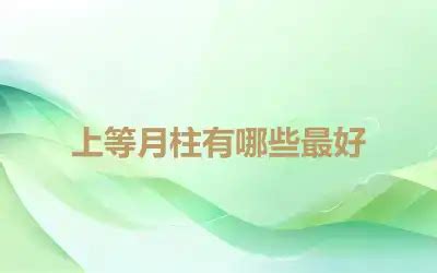 月 柱|八字月柱代表什么？最好的上等月柱是什么样？